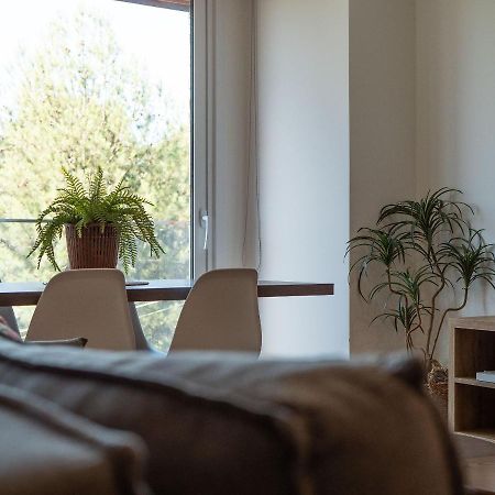 Alpes Da Montanha 501 - Apartamento Em Gramado Exteriér fotografie